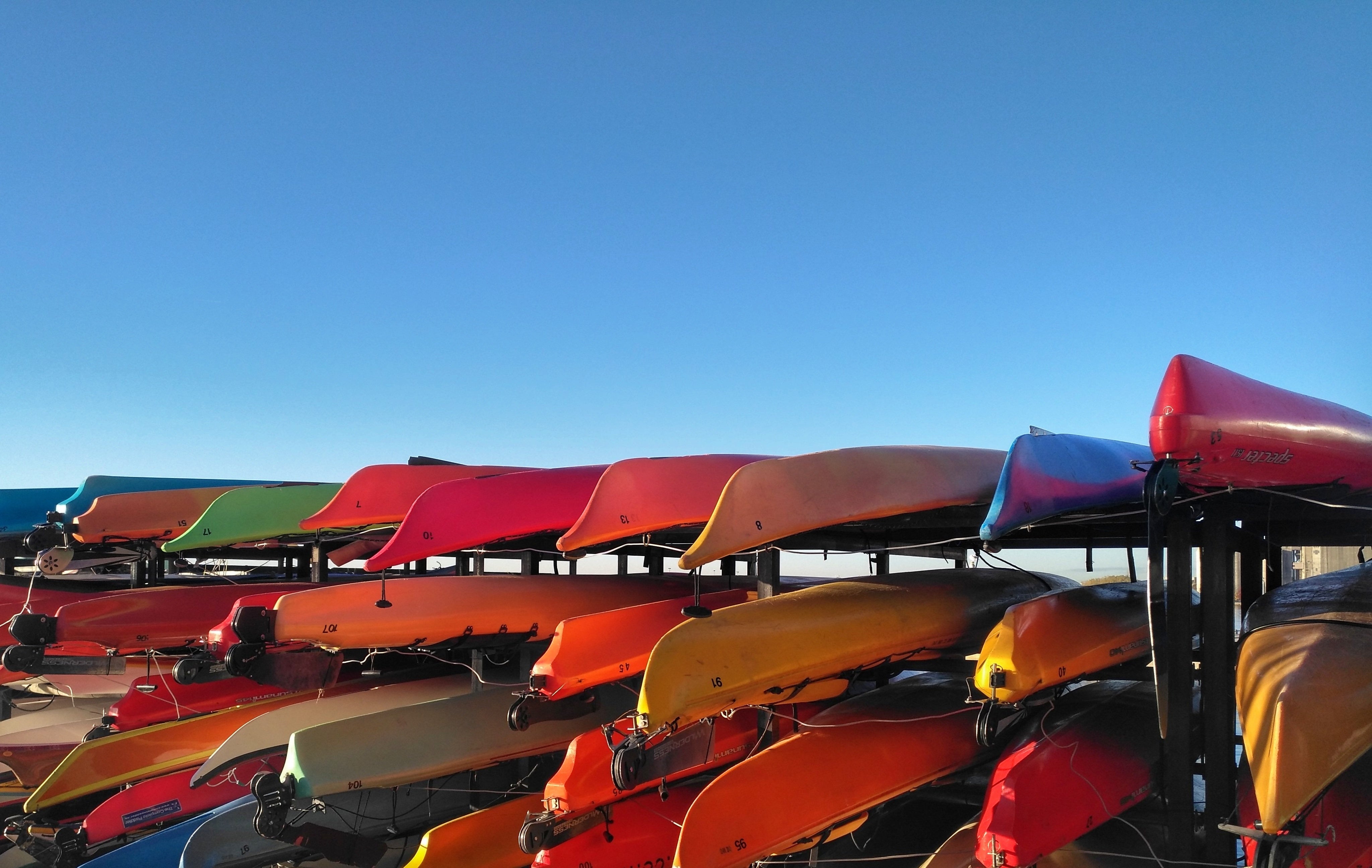 kayaks-on-racks-under-blue-sky.jpeg